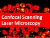 Confocal Scanning Laser Microscopy 