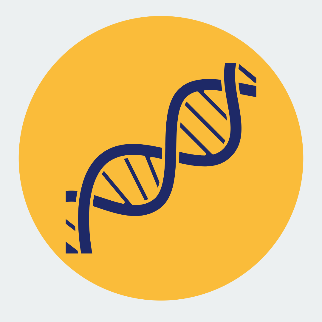 DNA icon