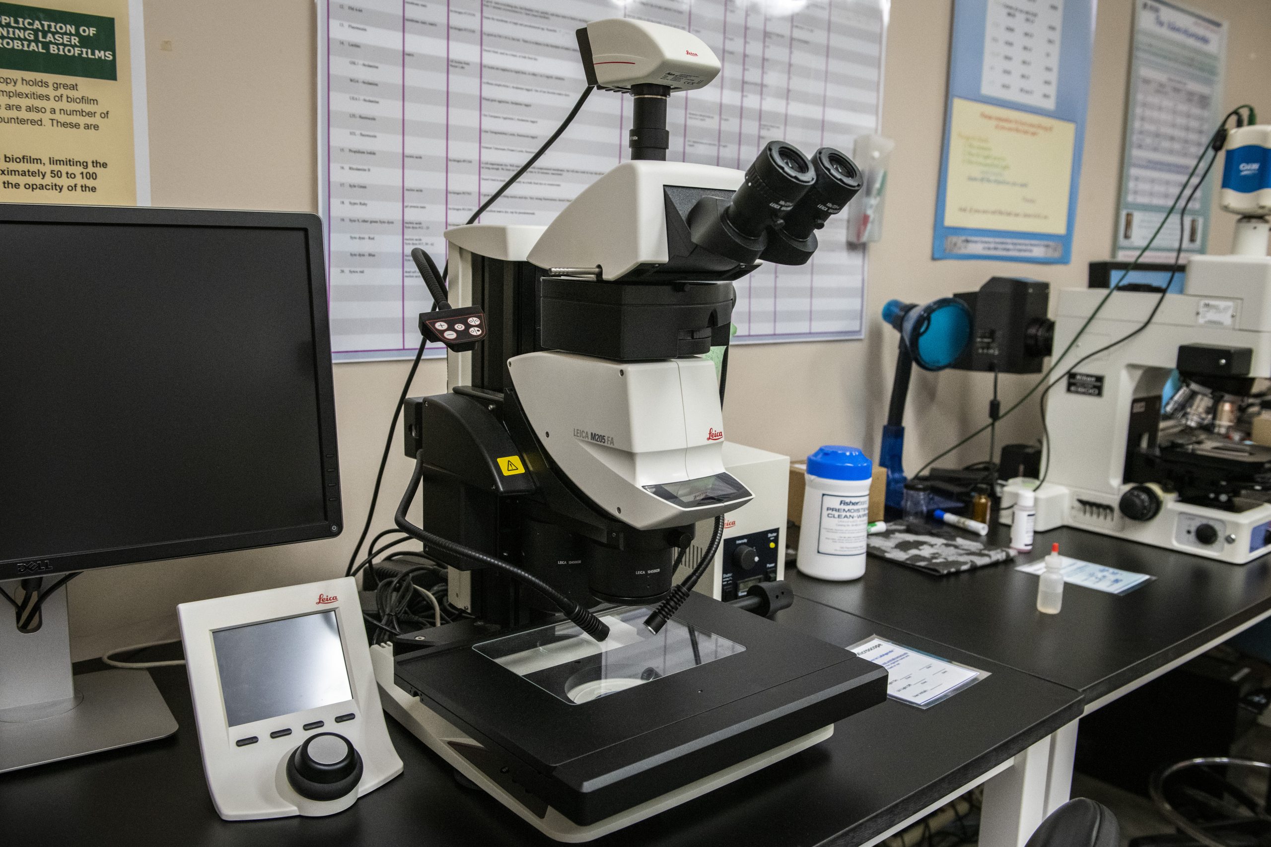 Leica Stereomicroscope