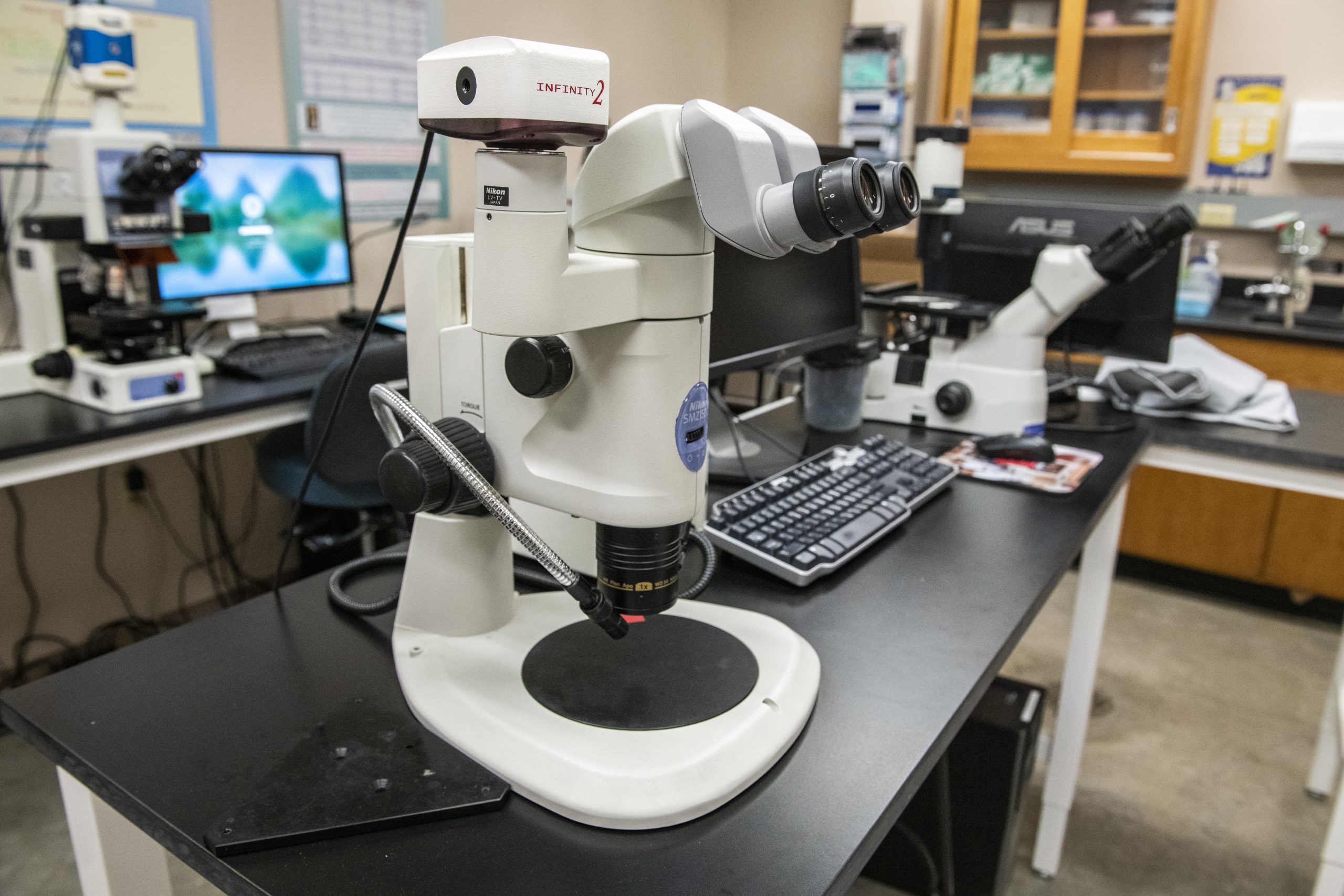 Stereomicroscope Nikon SMZ 1500