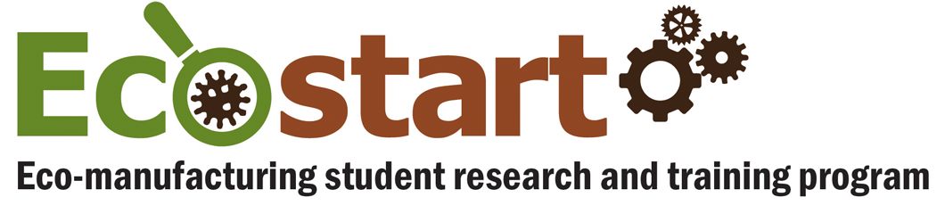 Image of the Eco-Start logo, which has gears and a magnifying glass.