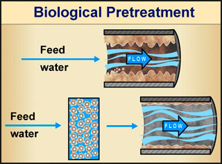 Biological Pretreatment