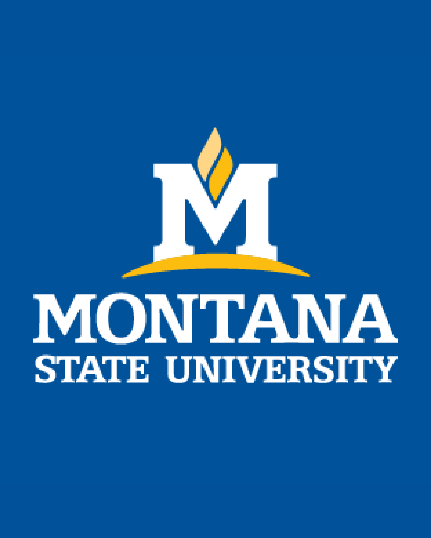 A blue background with white text that says Montana State University